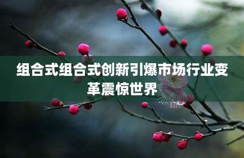 组合式组合式创新引爆市场行业变革震惊世界
