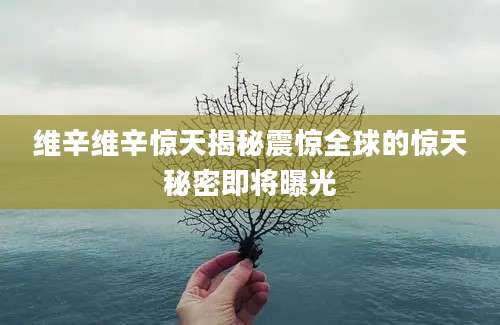 维辛维辛惊天揭秘震惊全球的惊天秘密即将曝光