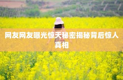 网友网友曝光惊天秘密揭秘背后惊人真相