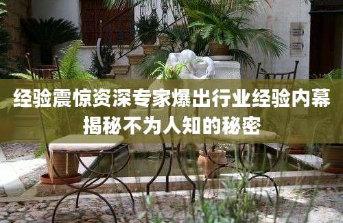 经验震惊资深专家爆出行业经验内幕揭秘不为人知的秘密
