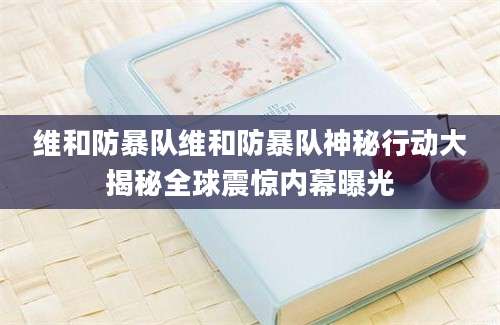 维和防暴队维和防暴队神秘行动大揭秘全球震惊内幕曝光