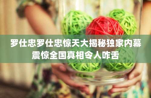 罗仕忠罗仕忠惊天大揭秘独家内幕震惊全国真相令人咋舌