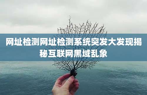 网址检测网址检测系统突发大发现揭秘互联网黑域乱象