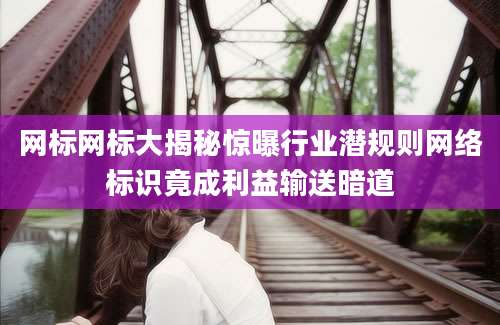 网标网标大揭秘惊曝行业潜规则网络标识竟成利益输送暗道