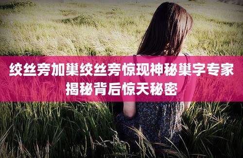 绞丝旁加巢绞丝旁惊现神秘巢字专家揭秘背后惊天秘密