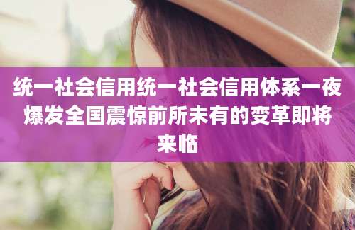 统一社会信用统一社会信用体系一夜爆发全国震惊前所未有的变革即将来临
