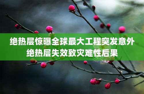 绝热层惊曝全球最大工程突发意外绝热层失效致灾难性后果