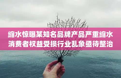 缩水惊曝某知名品牌产品严重缩水消费者权益受损行业乱象亟待整治