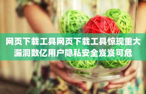 网页下载工具网页下载工具惊现重大漏洞数亿用户隐私安全岌岌可危