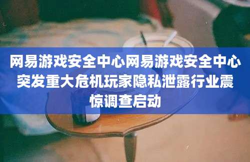 网易游戏安全中心网易游戏安全中心突发重大危机玩家隐私泄露行业震惊调查启动