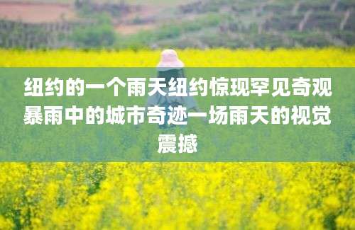 纽约的一个雨天纽约惊现罕见奇观暴雨中的城市奇迹一场雨天的视觉震撼