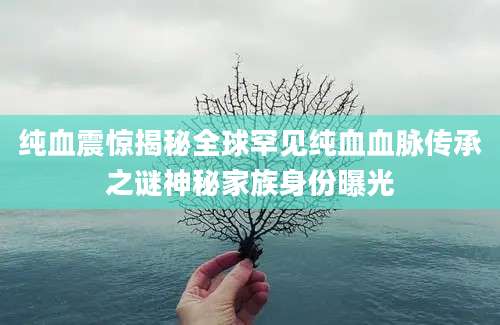 纯血震惊揭秘全球罕见纯血血脉传承之谜神秘家族身份曝光