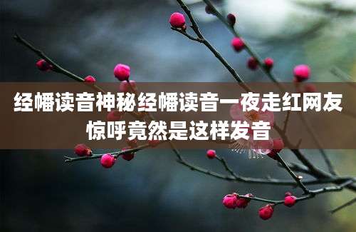 经幡读音神秘经幡读音一夜走红网友惊呼竟然是这样发音