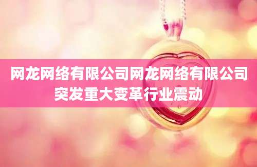 网龙网络有限公司网龙网络有限公司突发重大变革行业震动