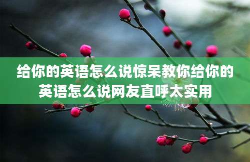 给你的英语怎么说惊呆教你给你的英语怎么说网友直呼太实用