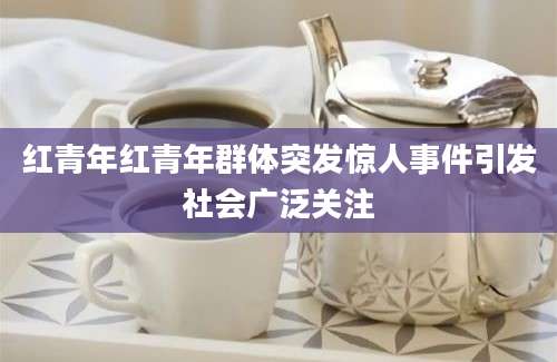 红青年红青年群体突发惊人事件引发社会广泛关注