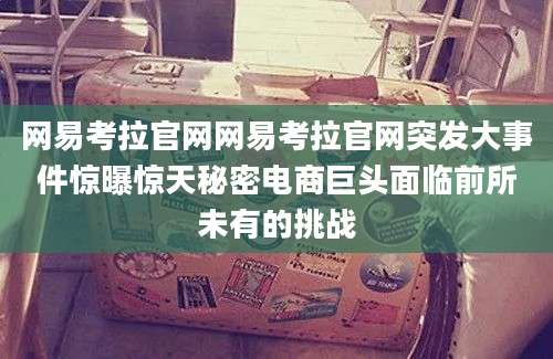 网易考拉官网网易考拉官网突发大事件惊曝惊天秘密电商巨头面临前所未有的挑战
