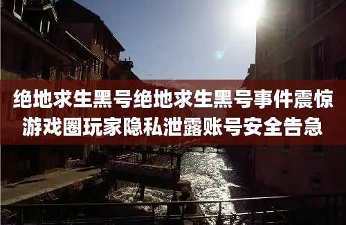 绝地求生黑号绝地求生黑号事件震惊游戏圈玩家隐私泄露账号安全告急