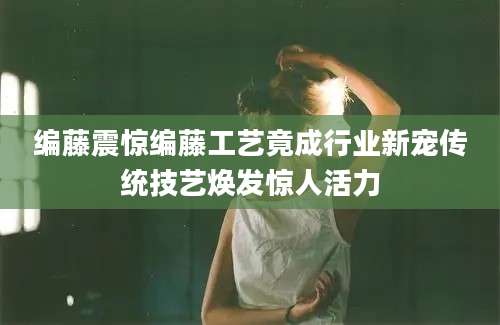 编藤震惊编藤工艺竟成行业新宠传统技艺焕发惊人活力