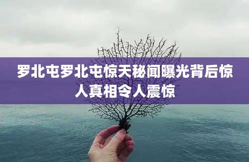 罗北屯罗北屯惊天秘闻曝光背后惊人真相令人震惊