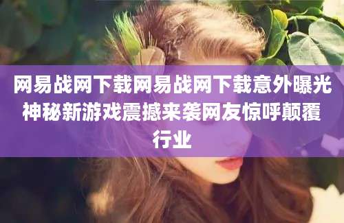 网易战网下载网易战网下载意外曝光神秘新游戏震撼来袭网友惊呼颠覆行业