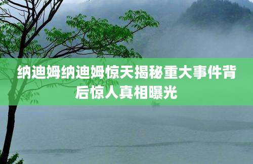 纳迪姆纳迪姆惊天揭秘重大事件背后惊人真相曝光