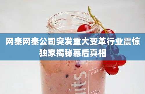 网秦网秦公司突发重大变革行业震惊独家揭秘幕后真相