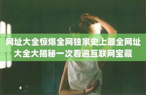 网址大全惊爆全网独家史上最全网址大全大揭秘一次看遍互联网宝藏