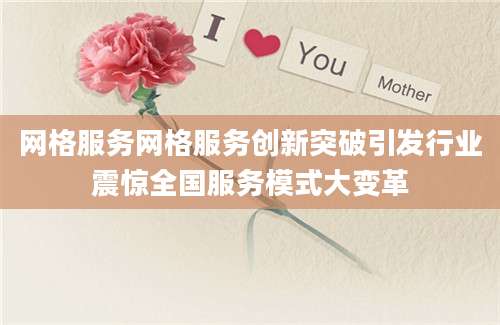 网格服务网格服务创新突破引发行业震惊全国服务模式大变革
