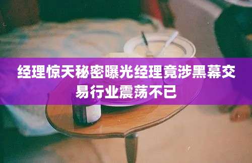 经理惊天秘密曝光经理竟涉黑幕交易行业震荡不已