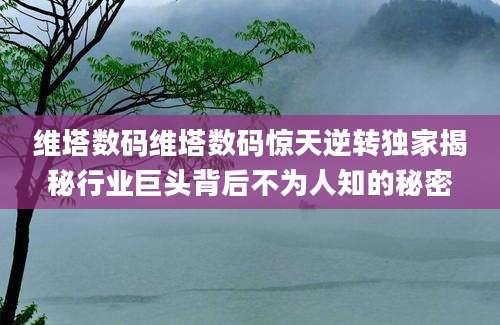 维塔数码维塔数码惊天逆转独家揭秘行业巨头背后不为人知的秘密