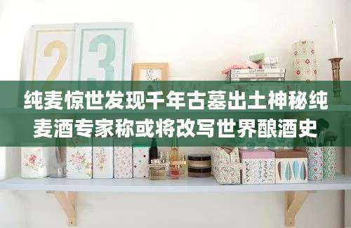 纯麦惊世发现千年古墓出土神秘纯麦酒专家称或将改写世界酿酒史
