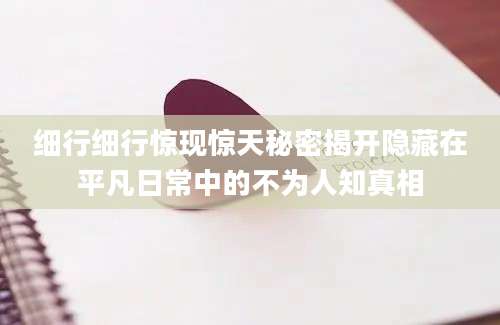 细行细行惊现惊天秘密揭开隐藏在平凡日常中的不为人知真相