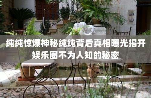 纯纯惊爆神秘纯纯背后真相曝光揭开娱乐圈不为人知的秘密