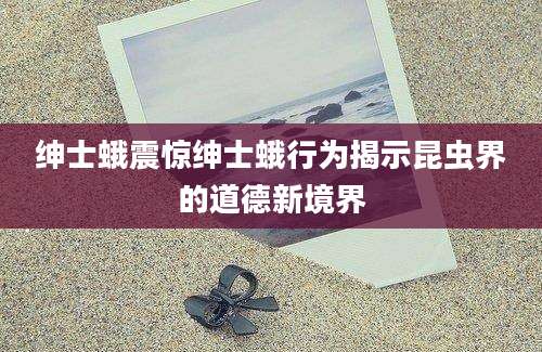 绅士蛾震惊绅士蛾行为揭示昆虫界的道德新境界