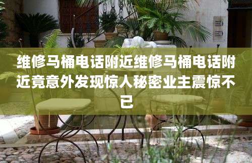 维修马桶电话附近维修马桶电话附近竟意外发现惊人秘密业主震惊不已