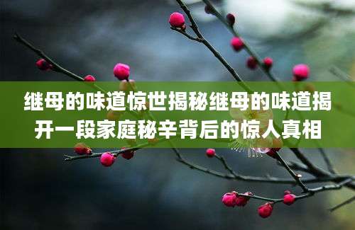 继母的味道惊世揭秘继母的味道揭开一段家庭秘辛背后的惊人真相