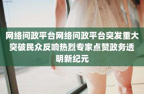 网络问政平台网络问政平台突发重大突破民众反响热烈专家点赞政务透明新纪元