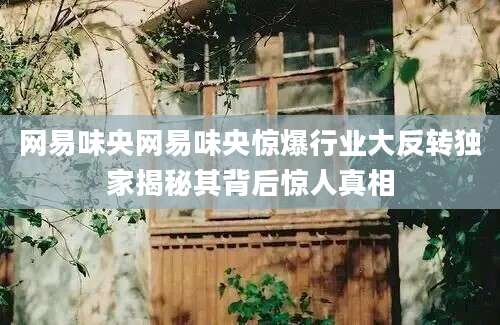 网易味央网易味央惊爆行业大反转独家揭秘其背后惊人真相