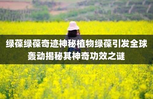 绿葆绿葆奇迹神秘植物绿葆引发全球轰动揭秘其神奇功效之谜