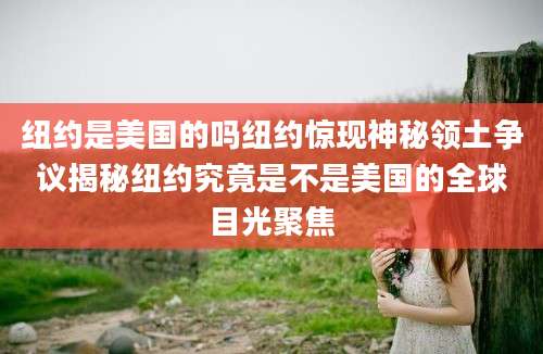 纽约是美国的吗纽约惊现神秘领土争议揭秘纽约究竟是不是美国的全球目光聚焦