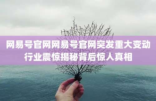 网易号官网网易号官网突发重大变动行业震惊揭秘背后惊人真相