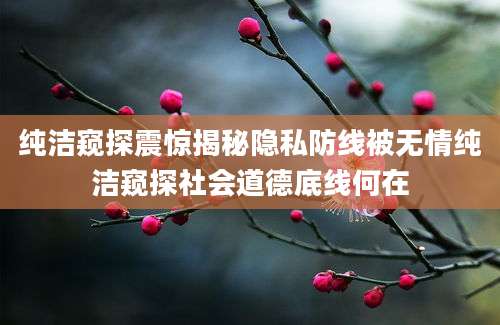 纯洁窥探震惊揭秘隐私防线被无情纯洁窥探社会道德底线何在