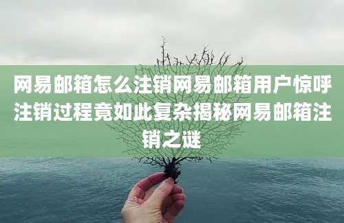网易邮箱怎么注销网易邮箱用户惊呼注销过程竟如此复杂揭秘网易邮箱注销之谜