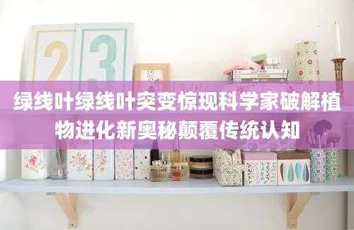 绿线叶绿线叶突变惊现科学家破解植物进化新奥秘颠覆传统认知