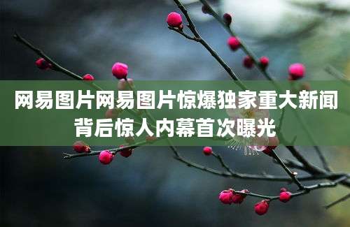 网易图片网易图片惊爆独家重大新闻背后惊人内幕首次曝光