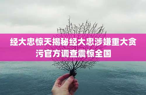 经大忠惊天揭秘经大忠涉嫌重大贪污官方调查震惊全国