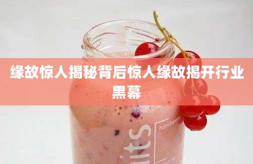 缘故惊人揭秘背后惊人缘故揭开行业黑幕