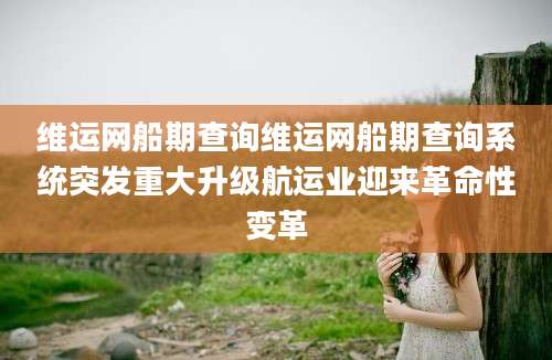维运网船期查询维运网船期查询系统突发重大升级航运业迎来革命性变革