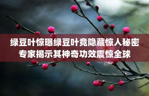 绿豆叶惊曝绿豆叶竟隐藏惊人秘密专家揭示其神奇功效震惊全球